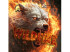 Der-materialspezialist Wildfire
