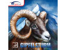 SPINLORD Gipfelsturm