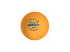 Balles DONIC P40+ Coach ** Pack 120u.