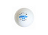 Balles DONIC P40+ Coach ** Pack 120u.