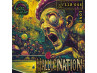 Der-materialspezialist Hallucination