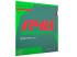 ANDRO Rasanter R48