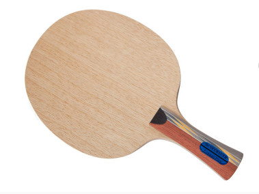 DR.NEUBAUER Firewall Plus