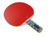DONIC Pack Waldner Exclusive + Twingo*