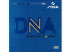 STIGA DNA Dragon Power 55